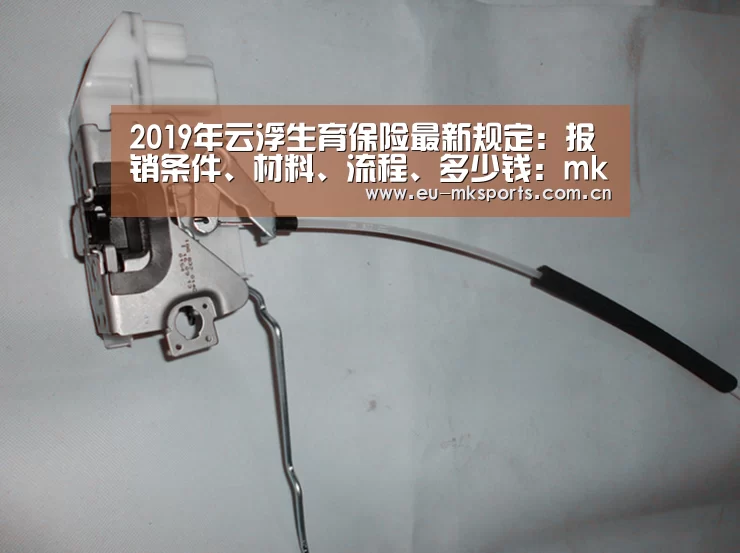 2019年云浮生育保险最新规定:报销条件、材料、流程、多少钱:mk体育入口(图3) mk体育下载