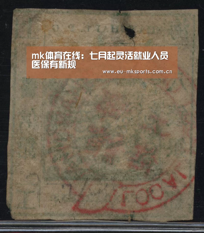 mk体育在线:七月起灵活就业人员医保有新规(图3) mk体育下载