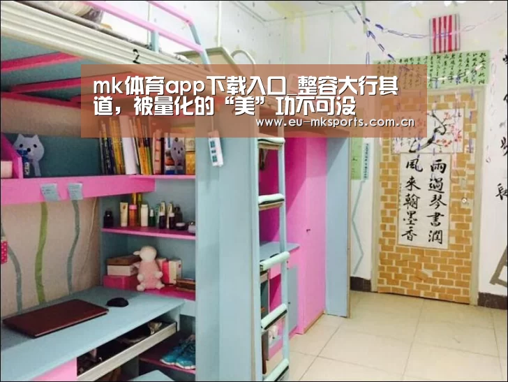 mk体育入口